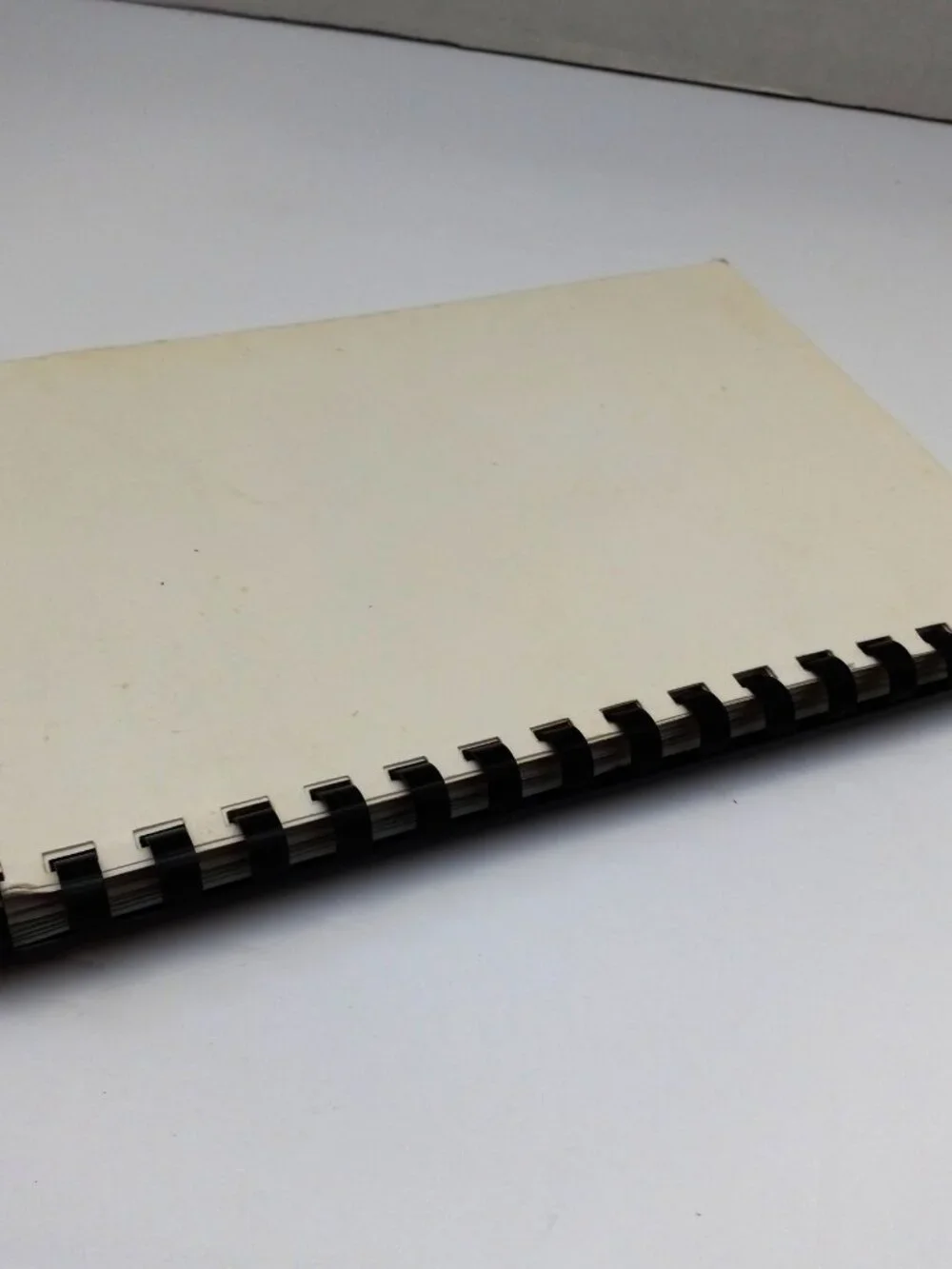 The Oldest Sister Gets Tasteful Spiral Bound Cookbook Recipe Book Judy Olson Amy